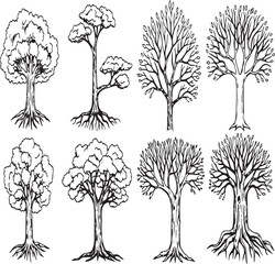 Collection of eight hand-drawn black and white trees with detailed roots and foliage