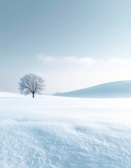 新雪に覆われた冬の自然風景を静かに切り取った情景。
淡く柔らかな自然光と抑えた色調が穏やかな空気感を演出。
ミニマルな構図で広い余白を確保した使いやすい背景。