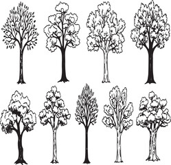 Detailed Black and White Illustrations of Diverse Tree Species sketch drawing