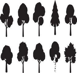 Set of Black Silhouettes Representing Different Types of Trees deciduous coniferous