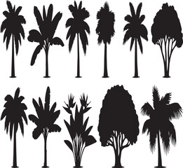 Silhouette Collection of Various Palm Trees and Tropical Foliage silhouettes