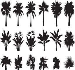 Silhouette Collection of Tropical Plants and Palm Trees on White Background Keywords: palm tree, tropical, plant