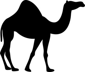 Camel Silhouette Vector on Desert Dunes, Middle Eastern Travel Concept