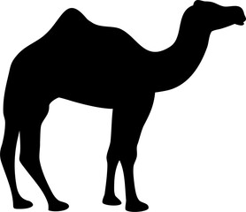 Camel Silhouette Vector on Desert Dunes, Middle Eastern Travel Concept