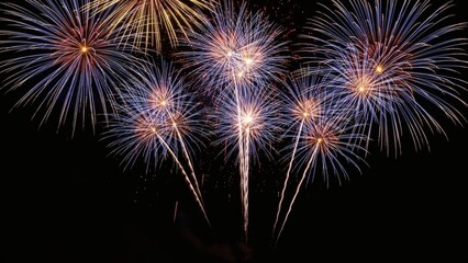 Spectacular burst of vibrant fireworks illuminating the dark night sky, celebrating a joyous occasion with brilliant light and explosive colors