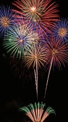 Obraz premium Vibrant fireworks explode in a dark night sky, creating a dazzling display of color and light