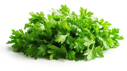 Obraz premium parsley herb isolated on white