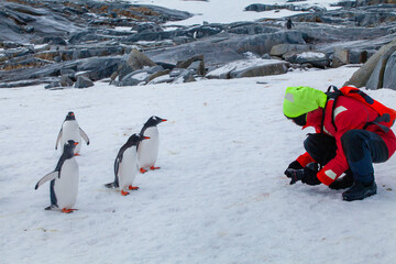 wildlife nature photographer photographing group of curious penguins in Antarctica