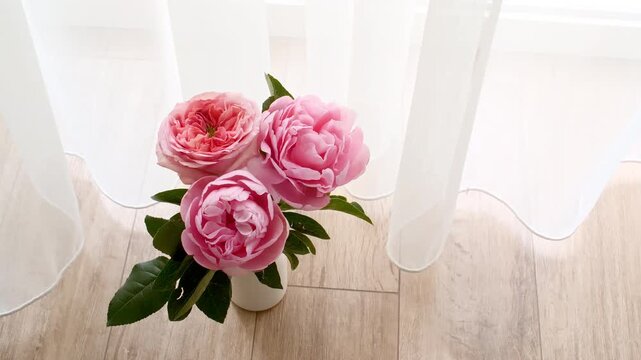 Peony flowers stand in a vase by the window. Wind blows through the open window in the room. Waving white tulle near the window. Product presentation, mockup for advertising. High quality 4k footage - Powered by Adobe