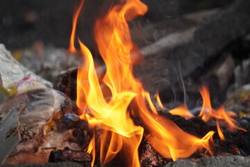 Close-up of a vibrant campfire with bright orange and yellow flames dancing amongst burning logs and embers.