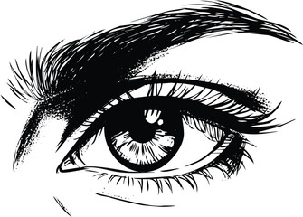 Expressive human eye with long eyelashes