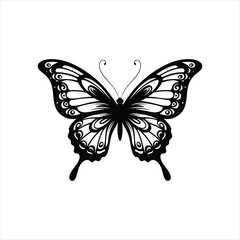 Detailed black butterfly silhouette with intricate wing patterns displayed