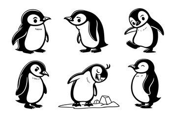Playful penguin positions isolated on white background, Vector