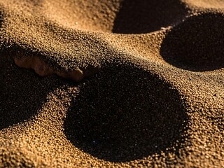 Rough Dry Dune Sand Closeup with Dramatic Shadows, Textured Natural Background
