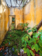 Abandoned building with yellow walls decaying and nature reclaiming space