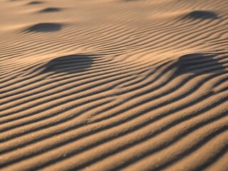 Macro Closeup of Dry Sand Wind Patterns, Abstract Natural Grain Texture Background
