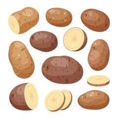 Collection of Potatoes Whole and Sliced Isolated on White Background