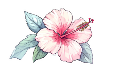 Stylized illustration of a blooming light pink hibiscus with detailed leaves