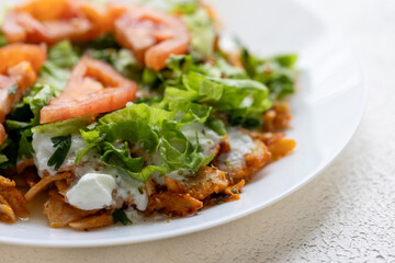 Close-Up of Chicken Kapsalon with Turkish Doner on White Plate