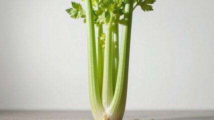 Fresh celery stalks with green leaves