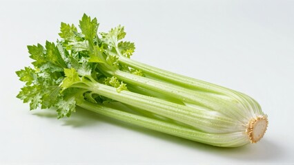Fresh celery stalks with green leaves and water droplets