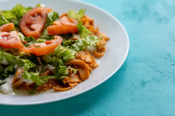 Close-Up of Chicken Kapsalon with Turkish Doner on White Plate