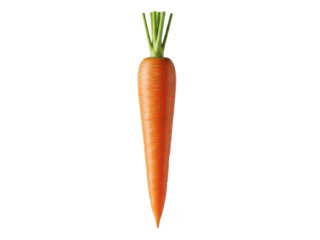 Fresh vibrant orange carrot with green top isolated on transparent background