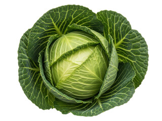Obraz premium Fresh green cabbage head with leaves wrapped around it, perfect for cooking and salads, isolated on transparent background
