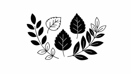 Collection of Black Leaf Silhouettes on White Background.