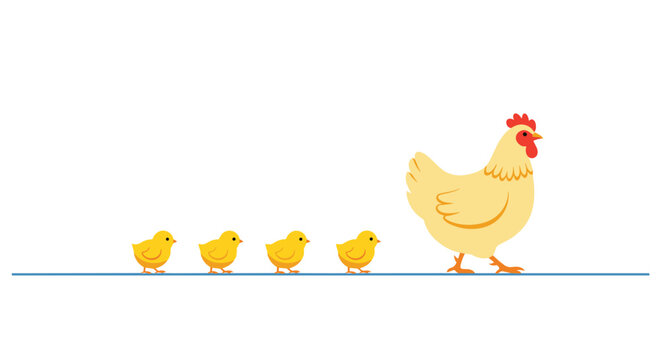 Mother hen walks in a straight line followed closely by four cute little yellow chicks on white background area.