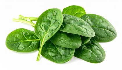 Fototapeta premium Bunch of vibrant fresh spinach leaves on white suitable for food blogs, cooking websites, healthy lifestyle content, and vegetarian recipes.