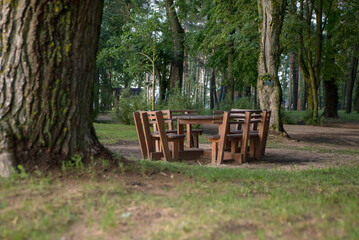 Wooden picnic table and chairs in a forest clearing surrounded by trees and grass. Ideal for outdoor gatherings and nature activities.