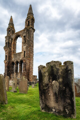 Ancient ruins of St. Andrew's Cathedral in St. Andrews, Fife region.