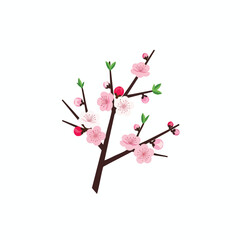 Illustration of a flowering branch with pink blooms, buds, and green leaves on white