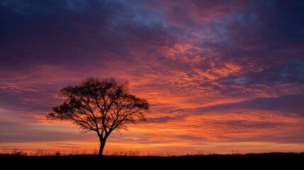 Vibrant sunset silhouetting solitary tree with dramatic sky and colorful clouds.