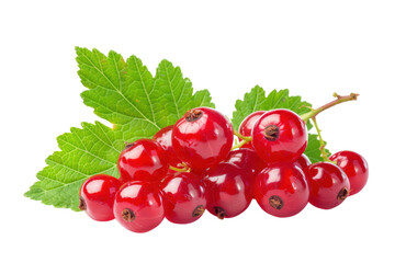 red currant fruits with green leaf isolated on white or transparent png