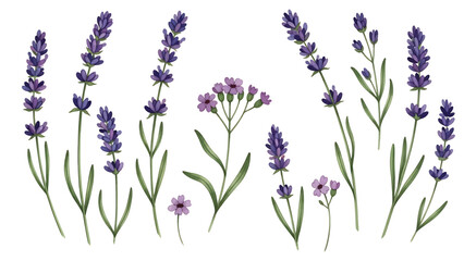 Naklejka premium Modern vector watercolor-style floral and nature wallpaper featuring lavender sprigs and wildflowers, calming botanical background ideal for interiors, textiles, and wellness branding