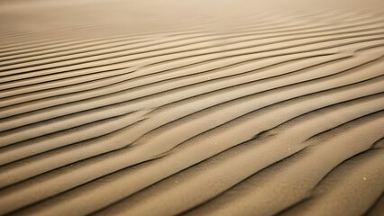 A close-up, abstract view of rippled sand in the desert, with beautiful lines and textures creating a calming, minimalist pattern.