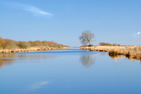 Marais de Bri&egrave;re