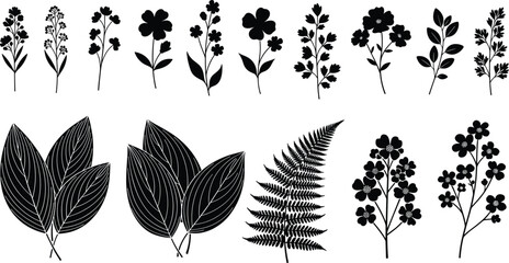 Set of black botanical silhouettes featuring fern frond and broad leaves, wild flower stems collection, nature design, cad drawing flat vector illustration © MDMOHOBBAT