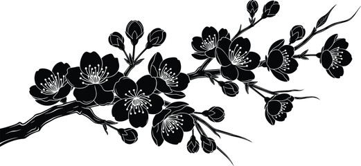 Black silhouette of blooming cherry blossom branch, sakura flower tree limb, spring nature design element, cad drawing flat vector illustration © MDMOHOBBAT