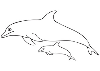 ISO A1 Educational Coloring Page for Kids with Mother Dolphin and Baby Dolphin Swimming Together Under the Sea
