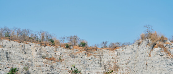 Rocky Cliff with Sparse Vegetation