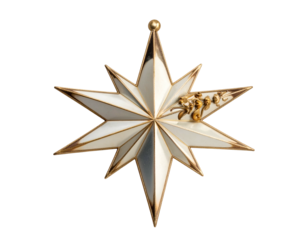 Ornate eight-pointed star ornament with decorative golden serpents