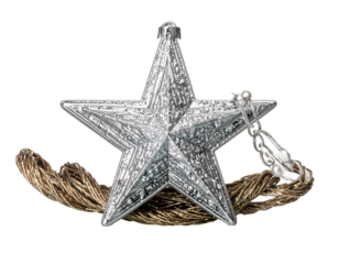 Shiny metallic star ornament with golden tinsel on black