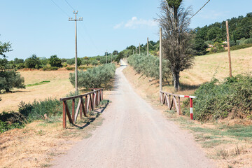 Via Francigena - gravel road in the countryside between San Lorenzo Nuovo and Bolsena, province of Viterbo, Lazio, Italy