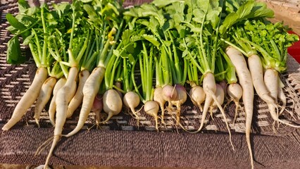 Freshly Harvested Radishes on Woven Surface