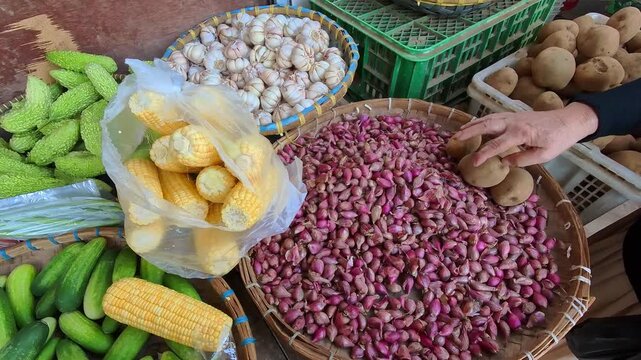 Overhead Clip of a woman's hands attentively picking out ripe, organic potatoes at a traditional Indonesian market. Videography of buying vegetables at a traditional market in 4K HD resolution.