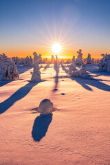 winter landscape at sunset