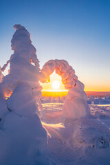 winter landscape at sunset